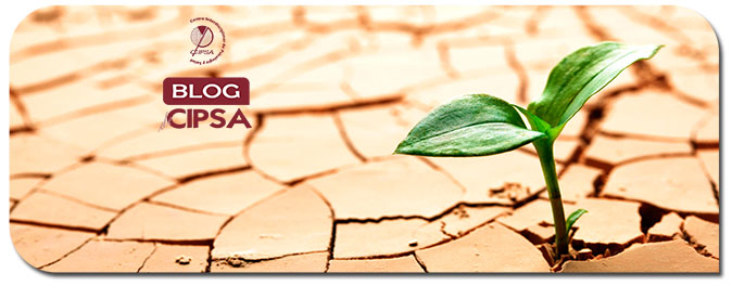 Foto Articulo Blog de Cipsa La Resiliencia por Angela Carrera Camuesco